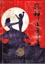 风神正年轻（ PDF版）