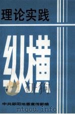 理论实践纵横（ PDF版）