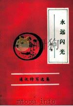 永远闪光（ PDF版）