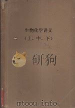生物化学讲义  上、中、下（ PDF版）