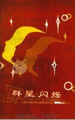 群星闪烁  长春铁路分局先进标兵事迹集锦（1995 PDF版）