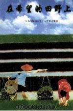 在希望的田野上  长春市绿园区乡土人才事迹集锦（1999 PDF版）