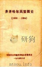齐齐哈尔民盟简史 1956-1984 1985 PDF电子版封面 周宗鲁主编