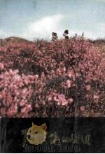 美丽富饶的延边 1988 PDF电子版封面 李秉胜主编;王长健副主编