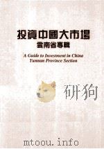 投资中国大市场  云南省专辑   1995  PDF电子版封面  9625820159  云南省人民政府办公厅编 