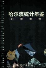 哈尔滨统计年鉴 1999 总第14期 1999 PDF电子版封面 7503729643 方世昌主编;哈尔滨市统计局编