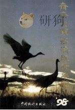齐齐哈尔经济统计年鉴 1998 总第10期 1998 PDF电子版封面 750372739X 齐齐哈尔市统计局编