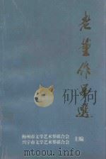 老董作品选（1997 PDF版）