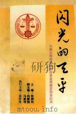 闪光的天平 长春市两级法院为改革发展稳定服务纪实 PDF电子版封面 张新民主编