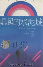 崛起的水泥城 梅州水泥工业改革之路 1993 PDF电子版封面 7506005018 彭春发,黄顺昌,张梓林主编