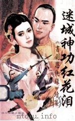 迷城神功红花泪 下 《书剑恩仇录》续集 1992 PDF电子版封面 7540909560 红花客著