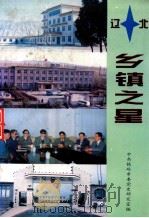 辽北乡镇之星 1996 PDF电子版封面 张雅莹主编