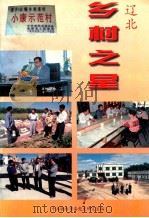 辽北乡村之星 1997 PDF电子版封面 史金龙主编