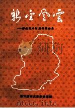 新金风云 解放战争时期的新金县 1993 PDF电子版封面 普兰店市史志办公室编