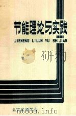 节能理论与实践（ PDF版）