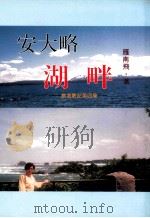 安大略湖畔 1996 PDF电子版封面 9579893608 雁南飞著