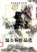 岭南美术家作品集 温公标作品选 1996 PDF电子版封面 753621376X 岭南美术出版社对外合作编辑室编