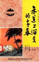 赤道上溜走的青春 1998 PDF电子版封面 叶芊著