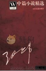 张炜名篇精选 中篇小说精选 增订本 1996 PDF电子版封面 7805518483 张炜著
