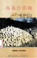 梅县沙田柚 1992 PDF电子版封面 7562303975 温文瞻,陈均昌主编
