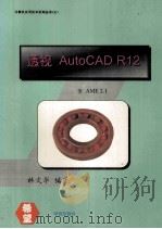 透视AutoCAD R12.0 含AME 2.1 1994 PDF电子版封面 7507707776 林文华编著