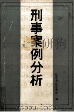 刑事案例分析（ PDF版）
