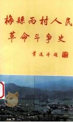 梅县丙村人民革命斗争史 1991 PDF电子版封面 邓森文主编;温带权,廖金龙副主编;中共梅县丙村镇委员会编