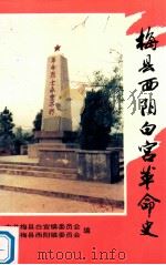梅县西阳白宫革命史（1994 PDF版）