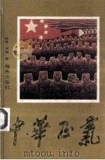 中华正气   1992  PDF电子版封面  7535007813  杨默，闻梅著 