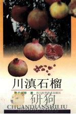川滇石榴 1997 PDF电子版封面 7536436807 曹子建主编