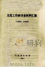 文化工作研讨会材料汇编（1999 PDF版）