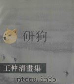 王仲清画集 1993 PDF电子版封面 7532212289 王仲清绘