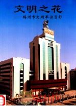 文明之花  梅州市文明单位剪影（1998 PDF版）