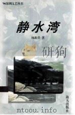静水湾 1996 PDF电子版封面 7806152741 杨新乔著