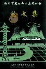 梅州市农村奔小康研讨会  论文集（1994 PDF版）