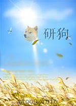 稳定性和操纵性飞行试验 第一卷 稳定性和操纵性飞行试验理论（ PDF版）