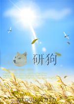 军用规范有人驾驶飞机自动控制和稳定系统通用规范（MIL-C-18244A）（1983 PDF版）