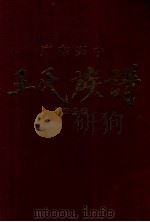 广东兴宁王氏族谱  第五分卷（1997 PDF版）