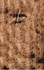 兴宁县农业志  初稿（ PDF版）