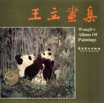 王立画集 1990 PDF电子版封面 7536206194 王立绘