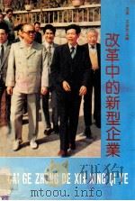 改革中的新型企业 1988 PDF电子版封面 7010003882 范英,王荣武主编