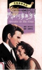 天涯何处无芳草   1994  PDF电子版封面  9577460232  伊力卡山导演；威廉英吉编剧 