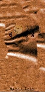 谭氏族谱（ PDF版）