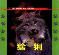 猞猁 1999 PDF电子版封面 753051010X 扎尔玛·伯雷特著;莱瑞·艾伦摄影;冯国清译