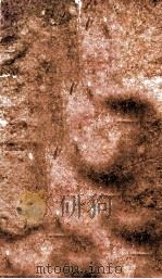 增补万病回春  孝集  明万历四十三年刻本（ PDF版）