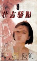 壮志骄阳 1997 PDF电子版封面 7538719684 (日)野岛伸司著;萧照芳译