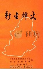 新金烽火 1988 PDF电子版封面 中共新金县委党史办公室,新金县档案馆编