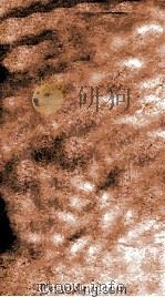 水道提纲  卷5-8（ PDF版）