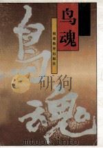 鸟魂 1995 PDF电子版封面 7533418662 王凌著