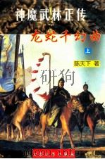 神魔武林正传 龙蛇千幻曲 上 1998 PDF电子版封面 780094235X 陈天下著